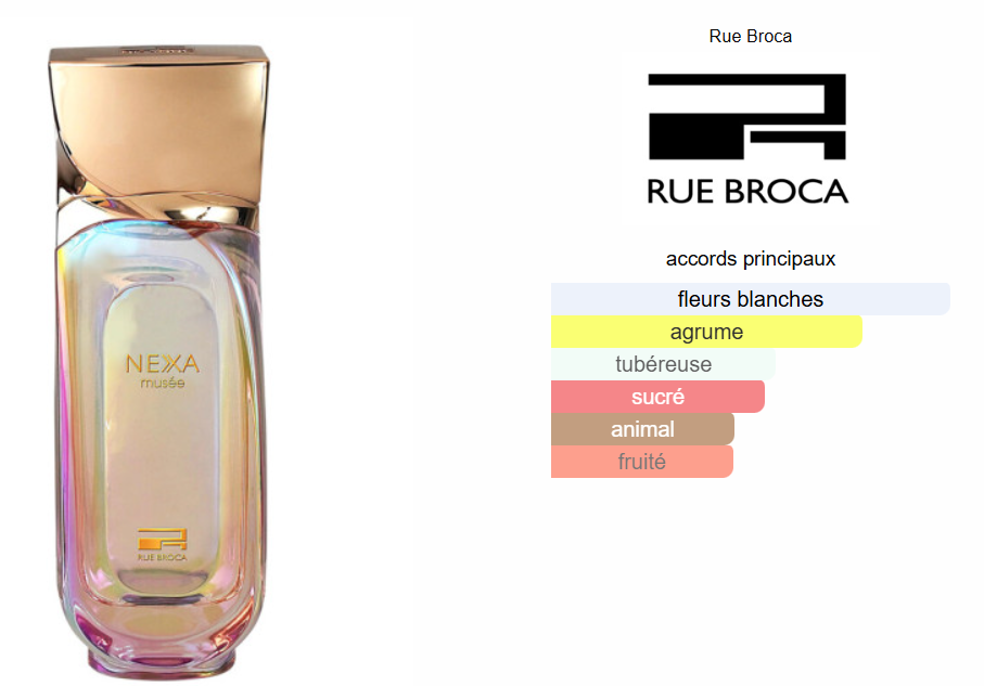 Nexa Muse By Rue Broca