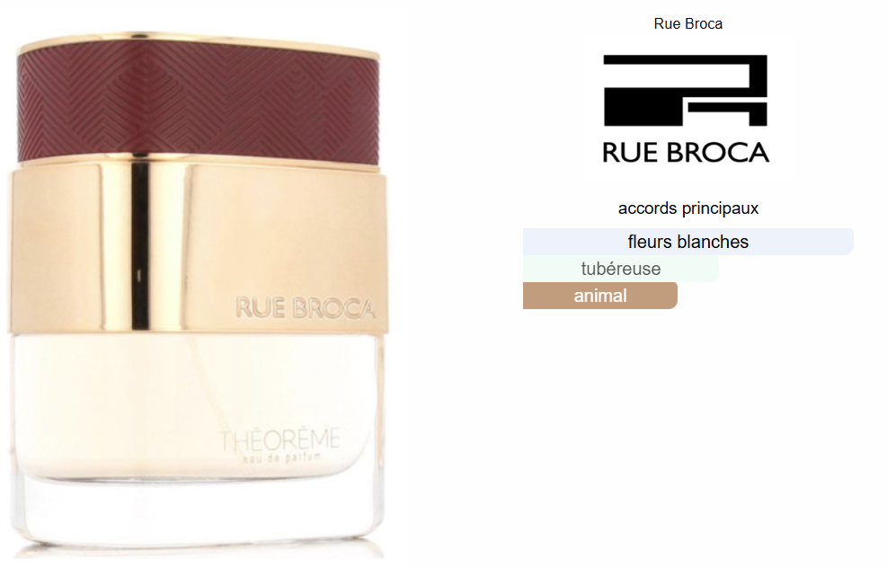 Theoreme For Women By Rue Broca