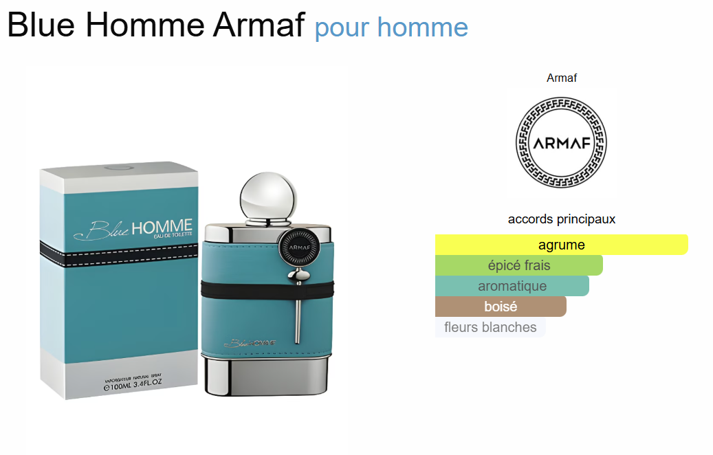 Blue Homme By Armaf EDT 100ml( Inspiration de Aqua Di Gio Classique)