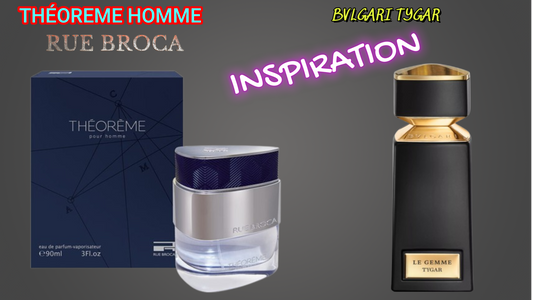 Theoreme For Men By Rue Broca
